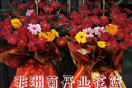 上海嘉定区开业花篮